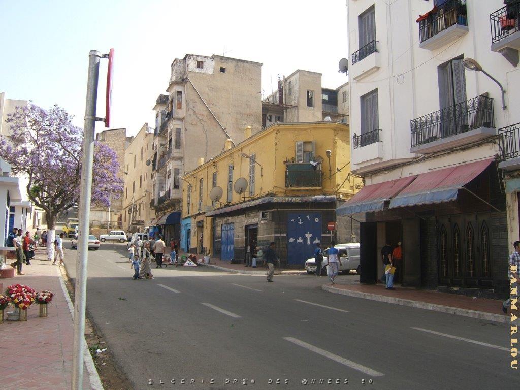 oran 256.jpg